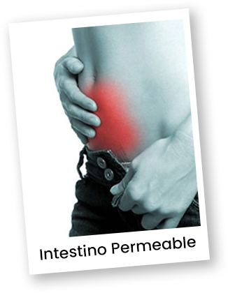 intestino permeable